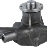 Water pump 21010-09W25