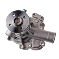 Water Pump 145017950